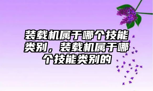 裝載機屬于哪個技能類別，裝載機屬于哪個技能類別的