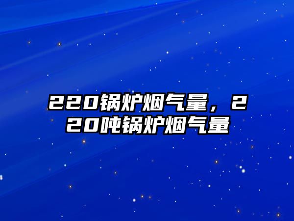 220鍋爐煙氣量，220噸鍋爐煙氣量