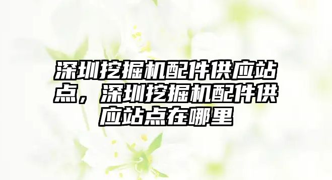 深圳挖掘機配件供應(yīng)站點，深圳挖掘機配件供應(yīng)站點在哪里