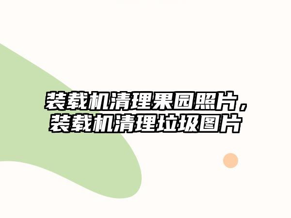 裝載機清理果園照片，裝載機清理垃圾圖片