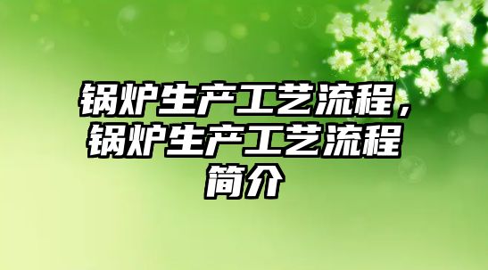 鍋爐生產工藝流程，鍋爐生產工藝流程簡介