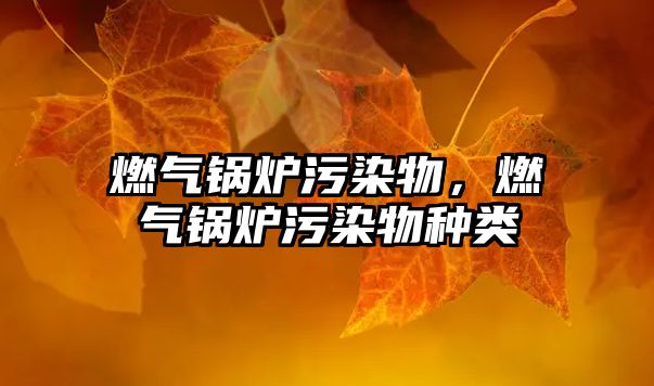 燃?xì)忮仩t污染物，燃?xì)忮仩t污染物種類