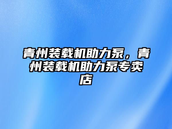 青州裝載機(jī)助力泵，青州裝載機(jī)助力泵專賣店