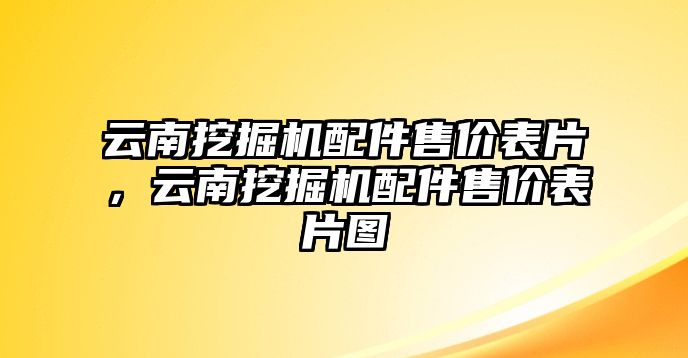 云南挖掘機(jī)配件售價(jià)表片，云南挖掘機(jī)配件售價(jià)表片圖