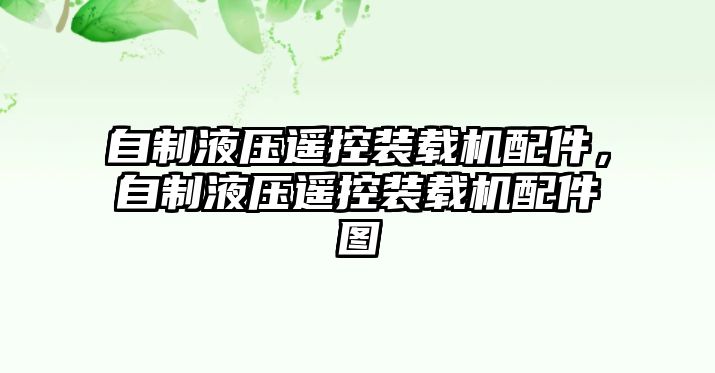 自制液壓遙控裝載機(jī)配件，自制液壓遙控裝載機(jī)配件圖