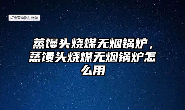 蒸饅頭燒煤無煙鍋爐，蒸饅頭燒煤無煙鍋爐怎么用