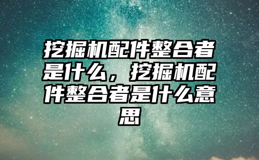 挖掘機配件整合者是什么，挖掘機配件整合者是什么意思