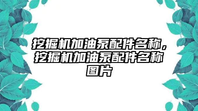 挖掘機(jī)加油泵配件名稱，挖掘機(jī)加油泵配件名稱圖片