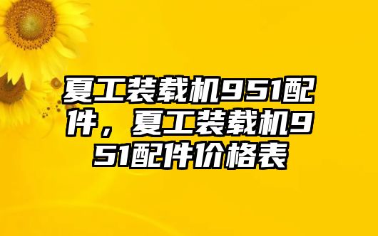 夏工裝載機951配件，夏工裝載機951配件價格表