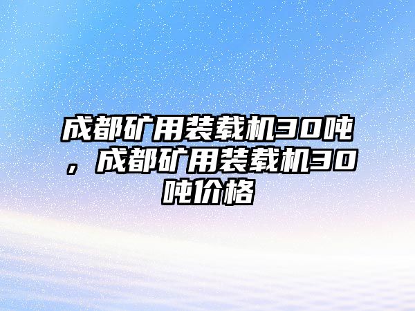 成都礦用裝載機(jī)30噸，成都礦用裝載機(jī)30噸價(jià)格