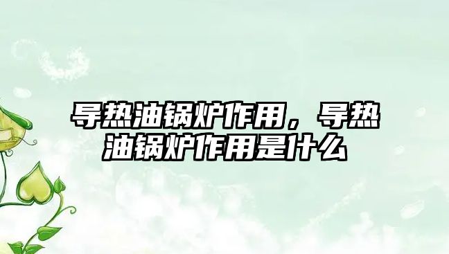 導熱油鍋爐作用，導熱油鍋爐作用是什么