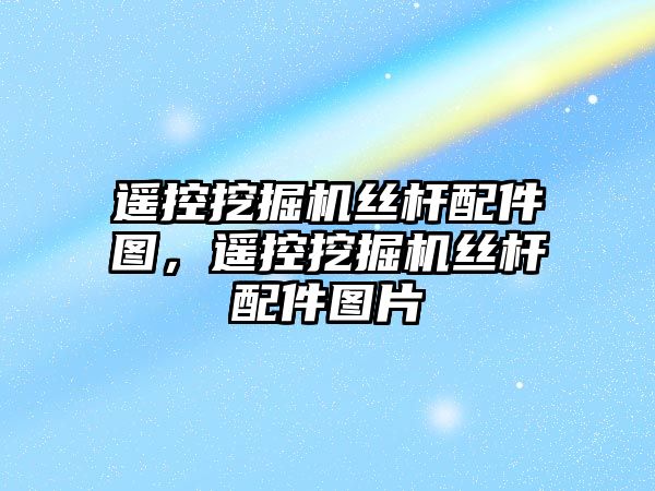 遙控挖掘機絲桿配件圖，遙控挖掘機絲桿配件圖片