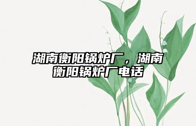 湖南衡陽鍋爐廠，湖南衡陽鍋爐廠電話