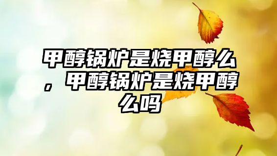 甲醇鍋爐是燒甲醇么，甲醇鍋爐是燒甲醇么嗎