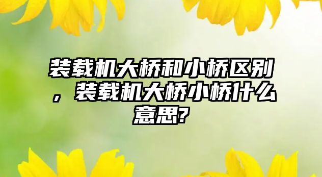 裝載機大橋和小橋區(qū)別，裝載機大橋小橋什么意思?