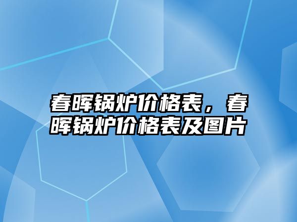 春暉鍋爐價格表，春暉鍋爐價格表及圖片