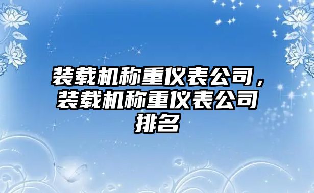 裝載機(jī)稱重儀表公司，裝載機(jī)稱重儀表公司排名