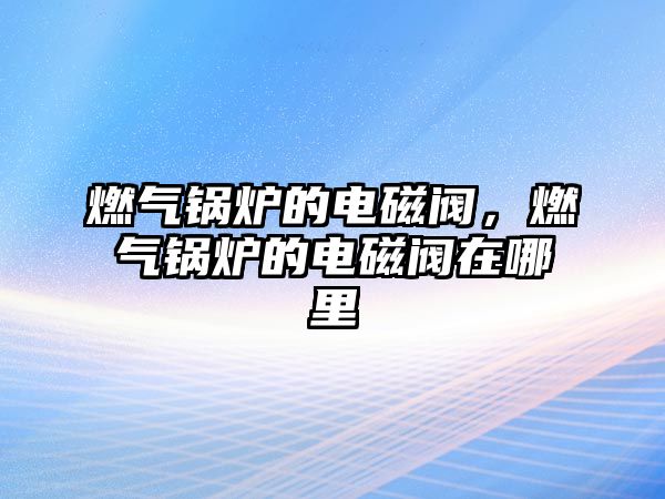 燃?xì)忮仩t的電磁閥，燃?xì)忮仩t的電磁閥在哪里