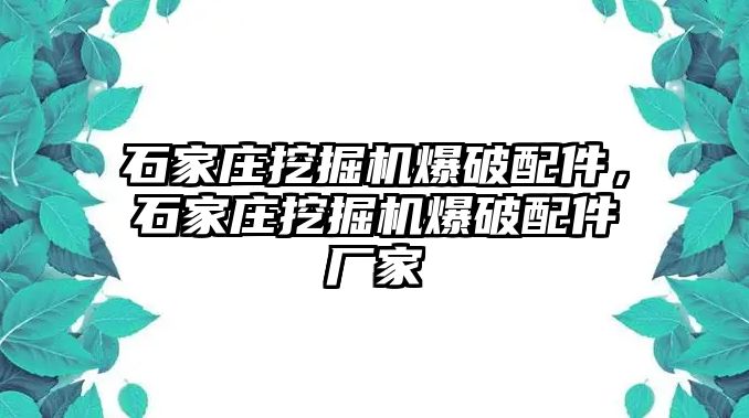 石家莊挖掘機(jī)爆破配件，石家莊挖掘機(jī)爆破配件廠家