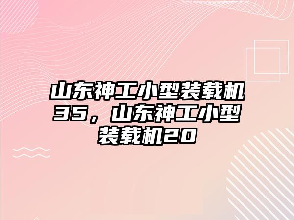 山東神工小型裝載機(jī)35，山東神工小型裝載機(jī)20