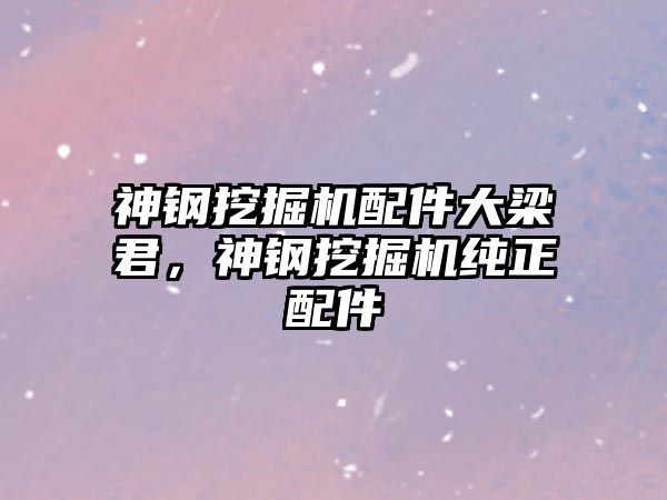 神鋼挖掘機配件大梁君，神鋼挖掘機純正配件