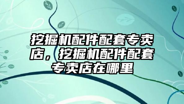 挖掘機配件配套專賣店，挖掘機配件配套專賣店在哪里