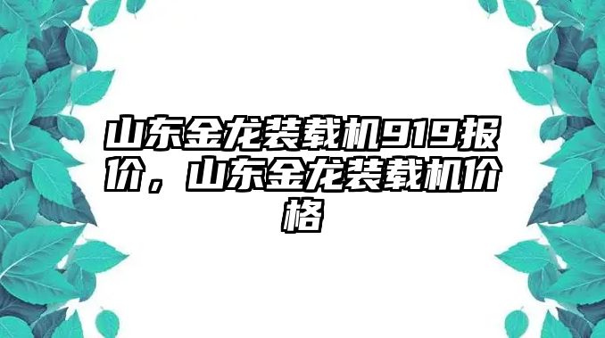 山東金龍裝載機(jī)919報(bào)價(jià)，山東金龍裝載機(jī)價(jià)格