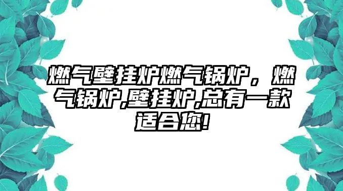 燃?xì)獗趻鞝t燃?xì)忮仩t，燃?xì)忮仩t,壁掛爐,總有一款適合您!