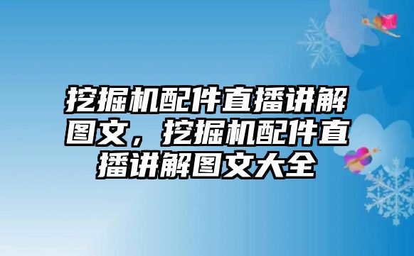 挖掘機(jī)配件直播講解圖文，挖掘機(jī)配件直播講解圖文大全