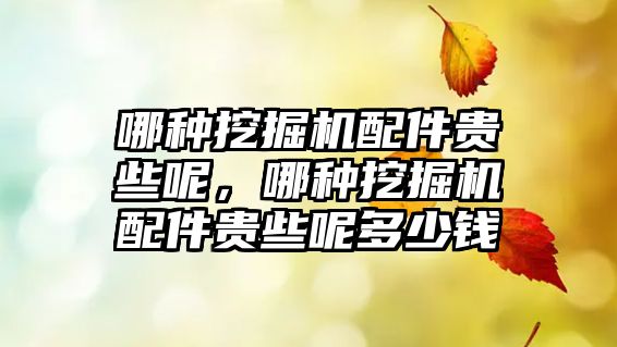 哪種挖掘機配件貴些呢，哪種挖掘機配件貴些呢多少錢