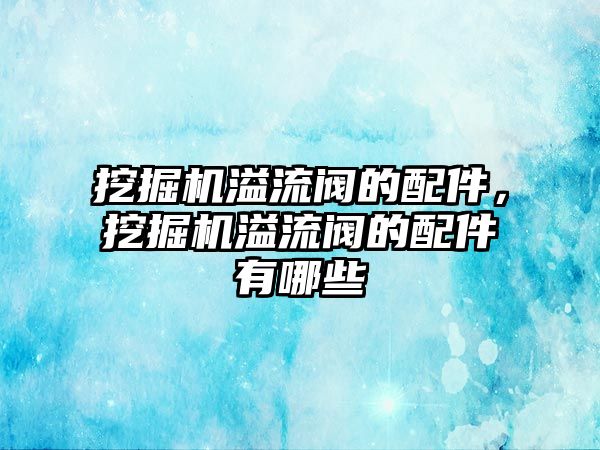 挖掘機溢流閥的配件，挖掘機溢流閥的配件有哪些