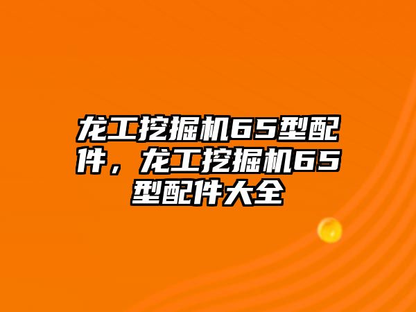 龍工挖掘機(jī)65型配件，龍工挖掘機(jī)65型配件大全