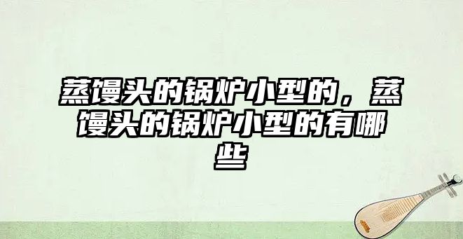 蒸饅頭的鍋爐小型的，蒸饅頭的鍋爐小型的有哪些