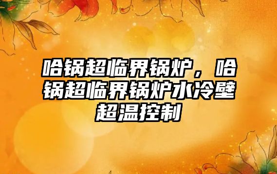 哈鍋超臨界鍋爐，哈鍋超臨界鍋爐水冷壁超溫控制