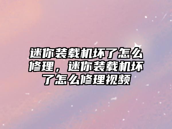 迷你裝載機壞了怎么修理，迷你裝載機壞了怎么修理視頻