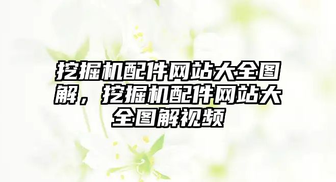 挖掘機配件網(wǎng)站大全圖解，挖掘機配件網(wǎng)站大全圖解視頻