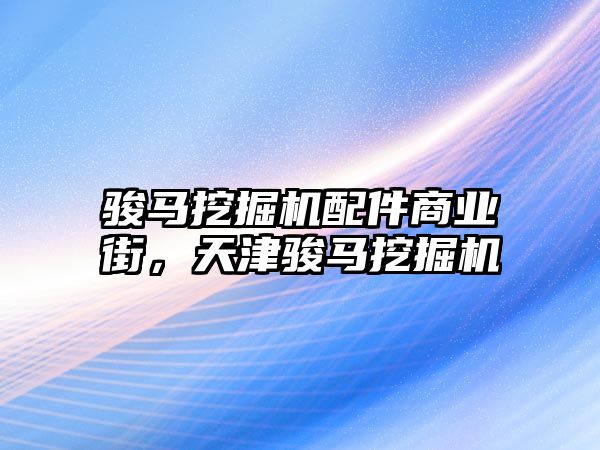 駿馬挖掘機配件商業(yè)街，天津駿馬挖掘機