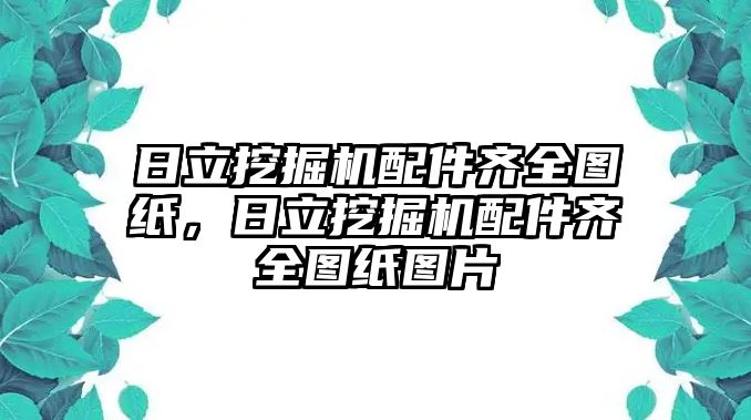 日立挖掘機配件齊全圖紙，日立挖掘機配件齊全圖紙圖片