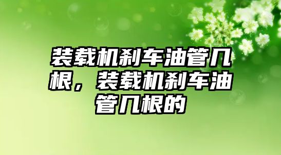 裝載機剎車油管幾根，裝載機剎車油管幾根的