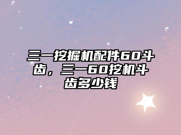 三一挖掘機(jī)配件60斗齒，三一60挖機(jī)斗齒多少錢