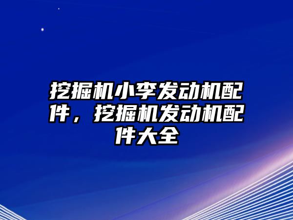 挖掘機(jī)小李發(fā)動機(jī)配件，挖掘機(jī)發(fā)動機(jī)配件大全