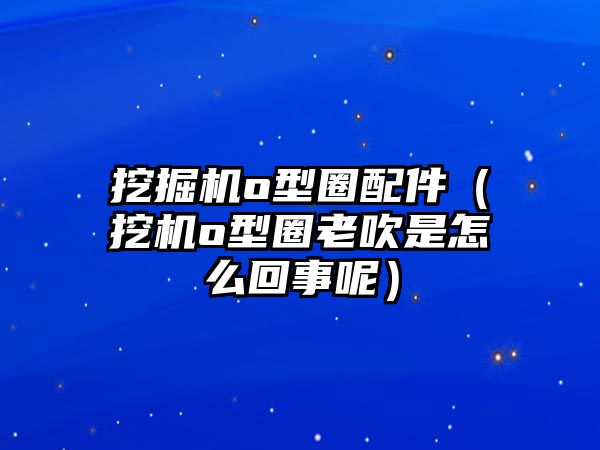 挖掘機o型圈配件（挖機o型圈老吹是怎么回事呢）