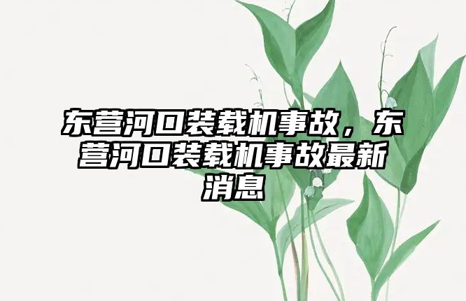 東營河口裝載機事故，東營河口裝載機事故最新消息