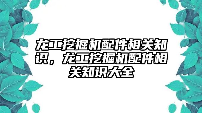 龍工挖掘機配件相關(guān)知識，龍工挖掘機配件相關(guān)知識大全