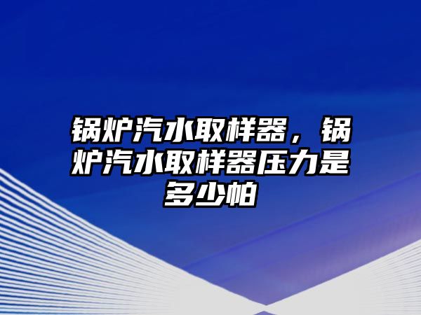 鍋爐汽水取樣器，鍋爐汽水取樣器壓力是多少帕