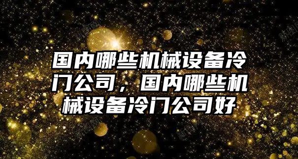 國內(nèi)哪些機(jī)械設(shè)備冷門公司，國內(nèi)哪些機(jī)械設(shè)備冷門公司好