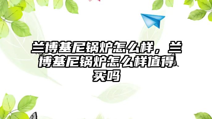 蘭博基尼鍋爐怎么樣，蘭博基尼鍋爐怎么樣值得買嗎