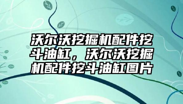 沃爾沃挖掘機配件挖斗油缸，沃爾沃挖掘機配件挖斗油缸圖片