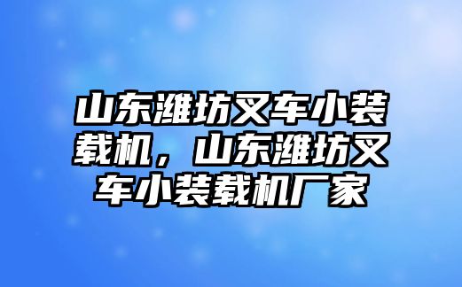 山東濰坊叉車小裝載機(jī)，山東濰坊叉車小裝載機(jī)廠家