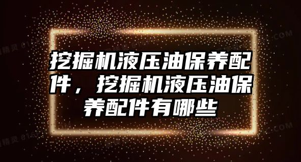 挖掘機液壓油保養(yǎng)配件，挖掘機液壓油保養(yǎng)配件有哪些